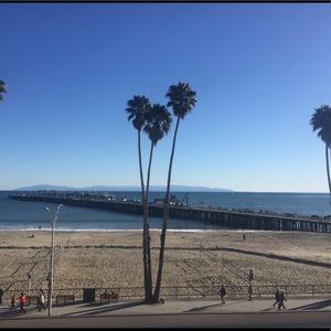 Meet your Posher, Marley